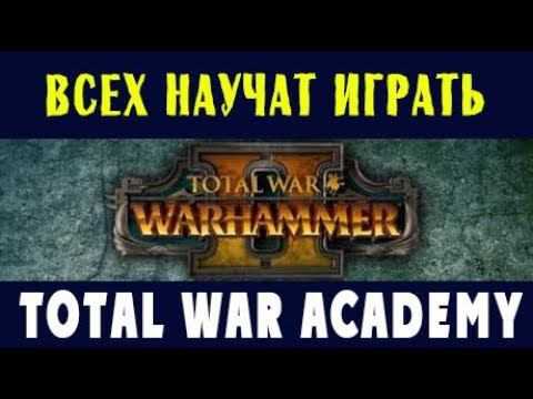 Гайд по total war: warhammer 2 – что нужно знать перед запуском кампании | мир игр новости