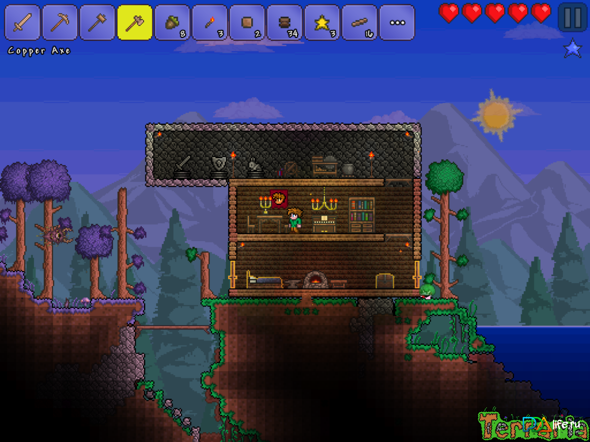 Terraria player builds фото 27