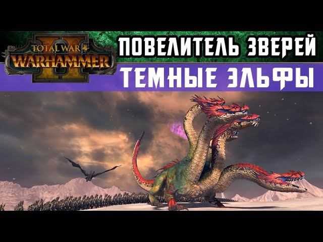 ✅ карта кампании в total war: warhammer 2 - igr-rai.ru