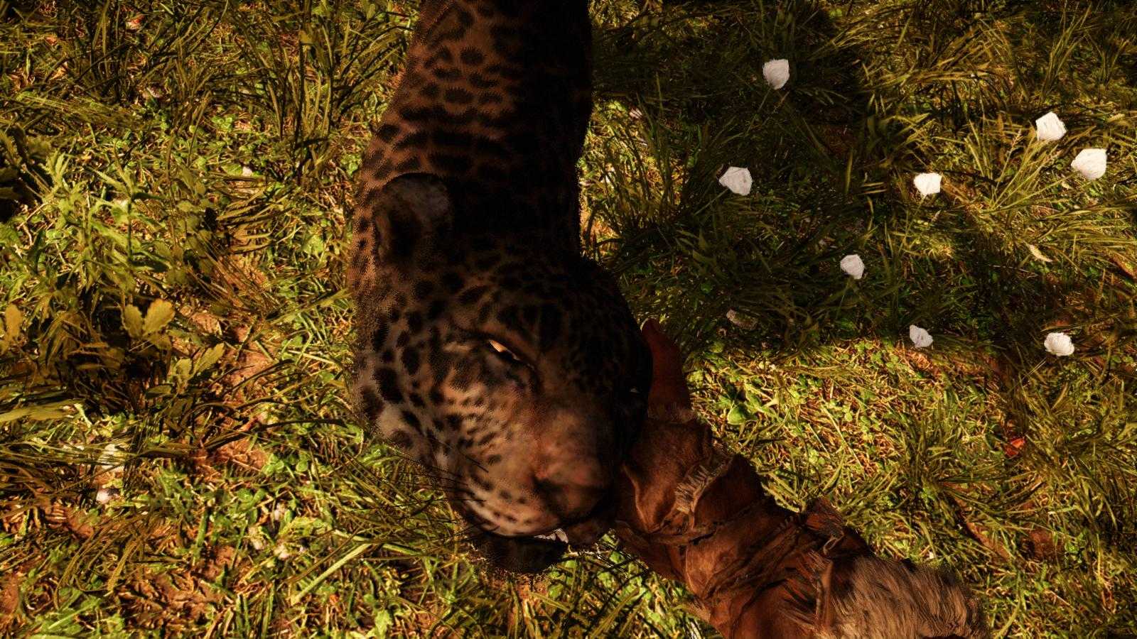 Far cry 4 разбор сюжета и концовок игры | igrasan | ru