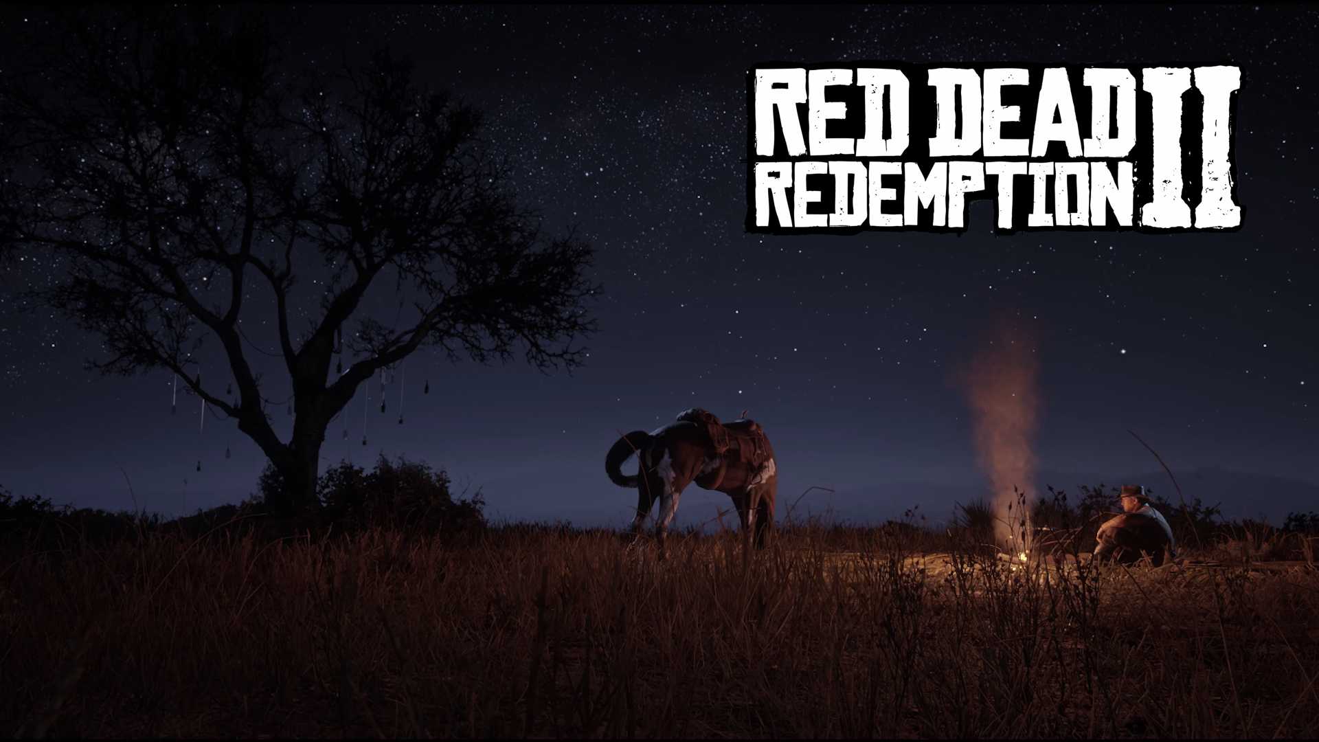 Red dead redemption 2 — все локации незнакомцев