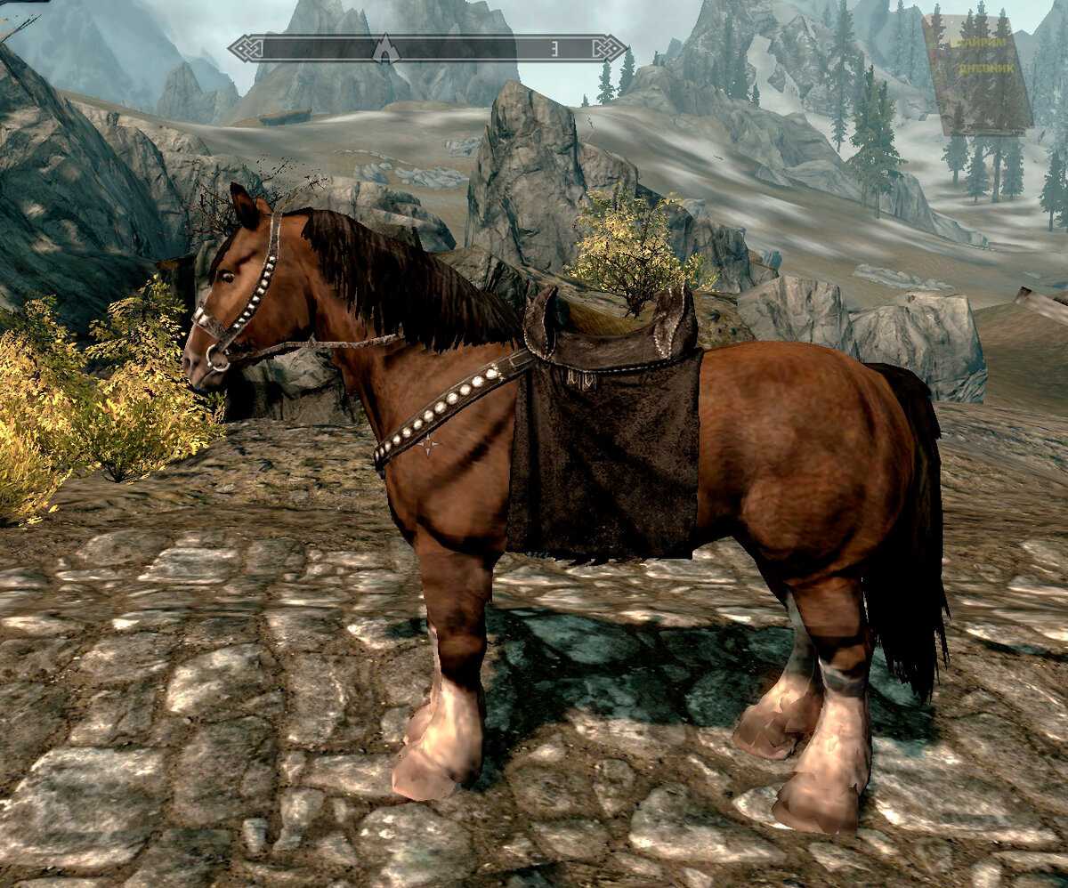 Skyrim: как приручить диких лошадей (и где их найти)