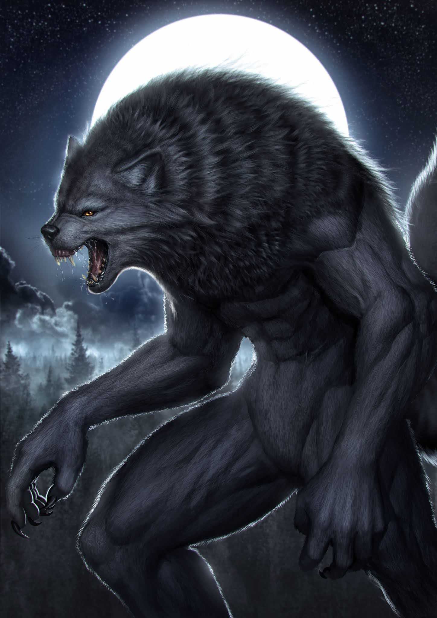 Wherewolf
