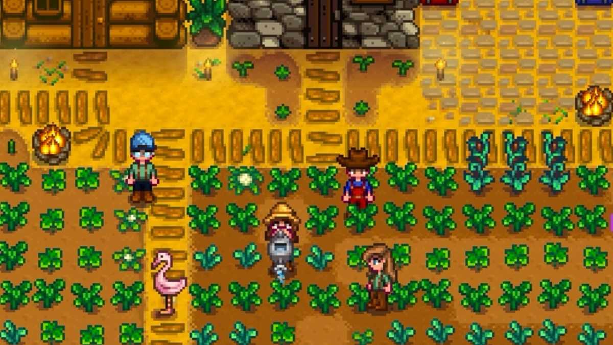 Stardew valley: how to play multiplayer on switch