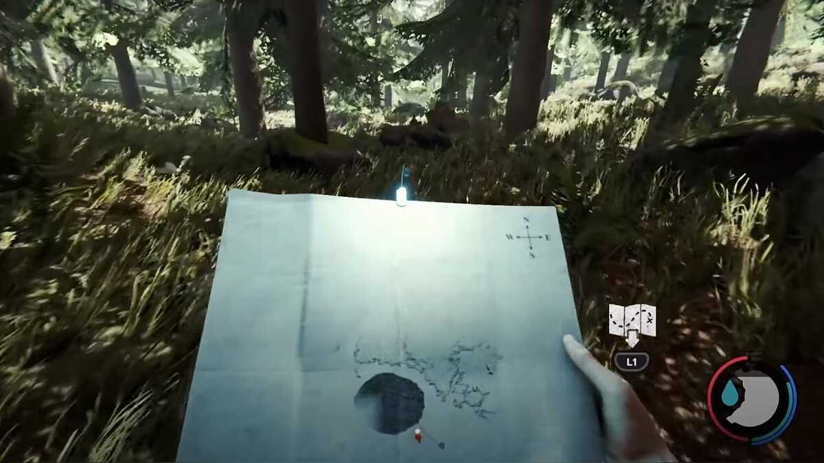 Расположение предметов в the forest на игровой карте